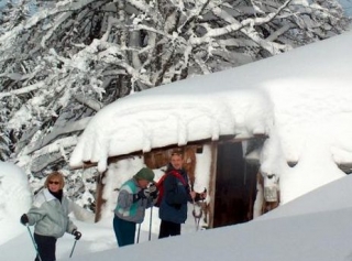  Llegada a la guarida 